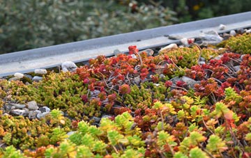 the cost of Waterbeck green roof installation