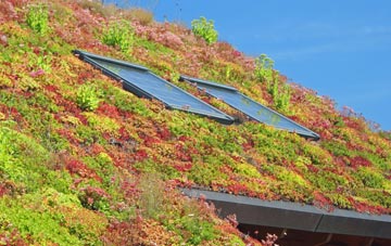 Waterbeck living roof systems
