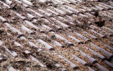 Waterbeck roof cleaning companies