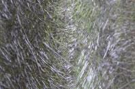 Waterbeck fibreglass roof work